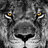 -AslaN