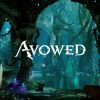 Avowed Screenshot Environment HD scaled 1